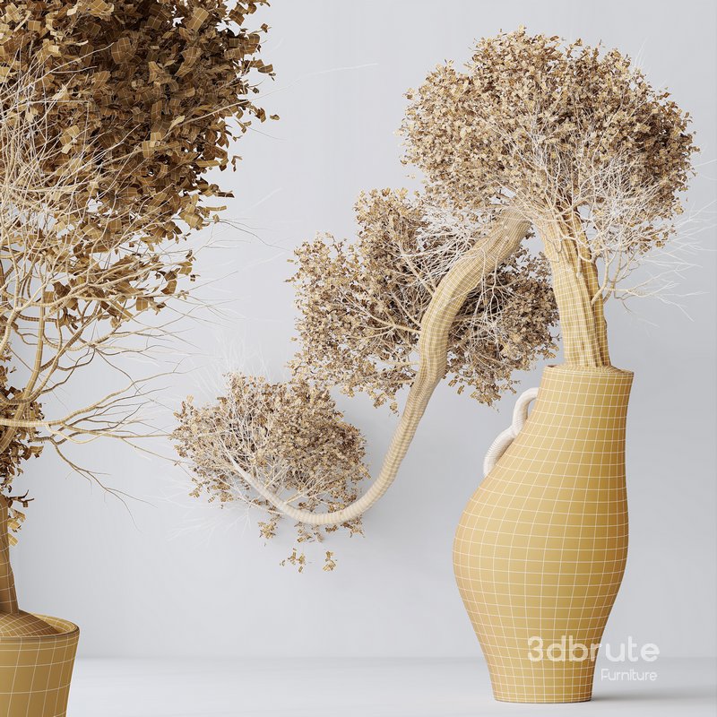 HousePlants Ficus Retusa Microcarpa Bonsai Ginseng04 Image 3