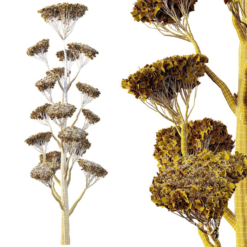 Spherical tree05 Image 4