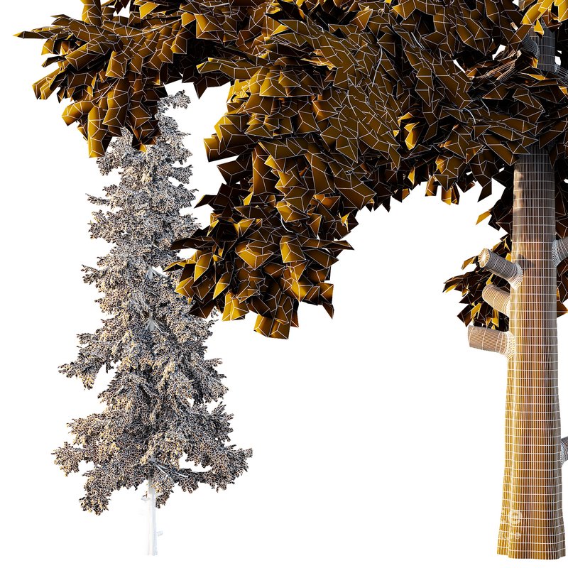 Alaska cedar Tree02 Image 2