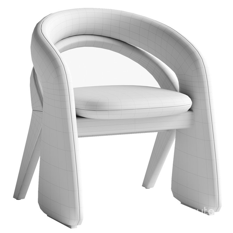 Olga Dining Chair Image 4