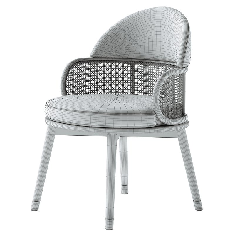 Ruma Dining Chair Image 5