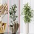 Maclellandii Braid and Mission Olive Tree Indoor Vase - Thumbnail 4