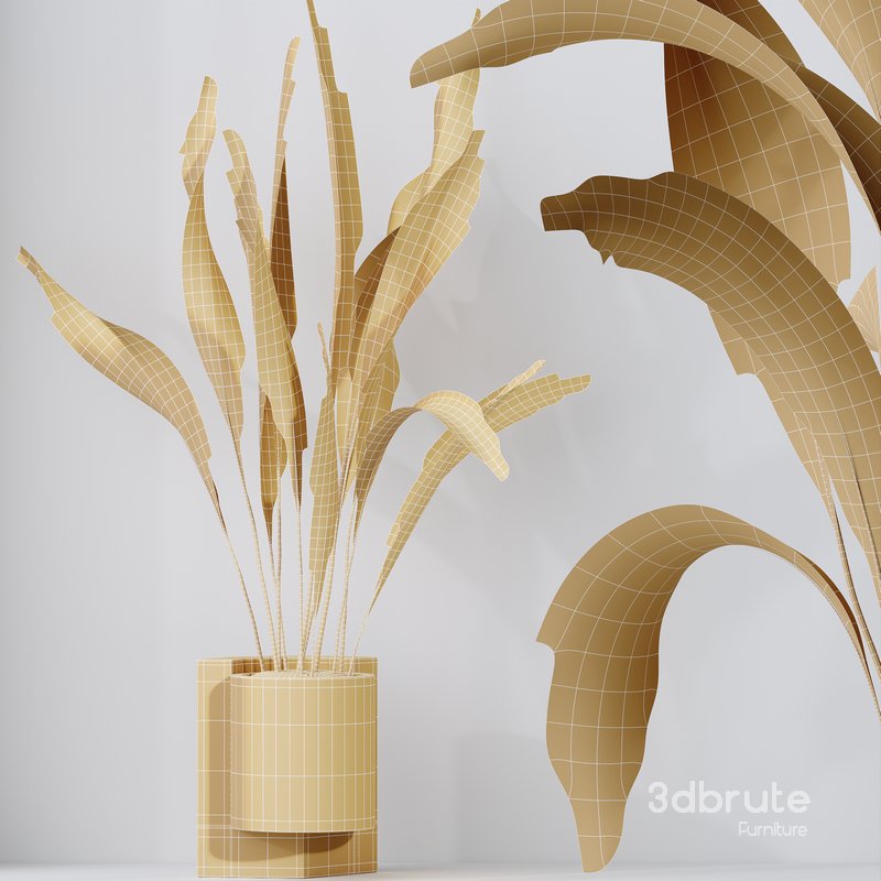 HQ HousePlants Aspidistra Elatior Cast iron Plant Set02 Image 5