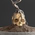 bonsai on skull in pot 09 - Thumbnail 3