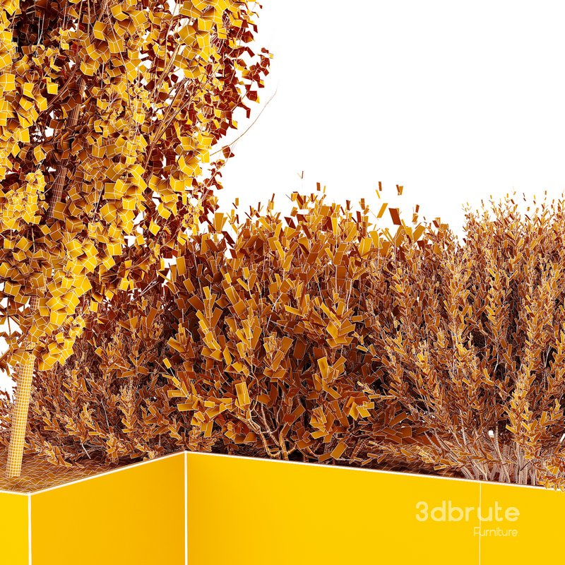 HQ Tree and bush garden box outdoor VOL 57 Image 5