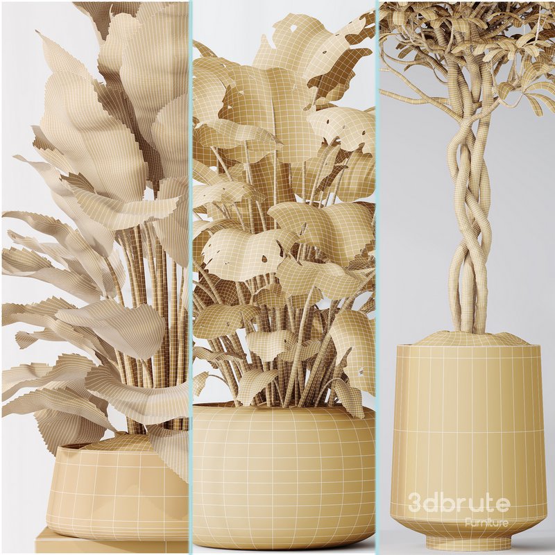 Indoor plant set 04 Image 5