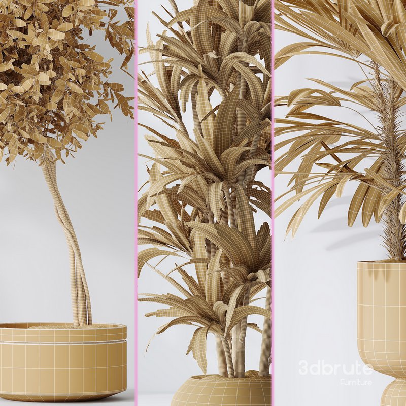 Indoor plant set 02 Image 6