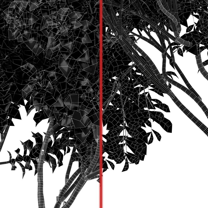 Joy Perfume Orange and Cherry Leaf Image 5