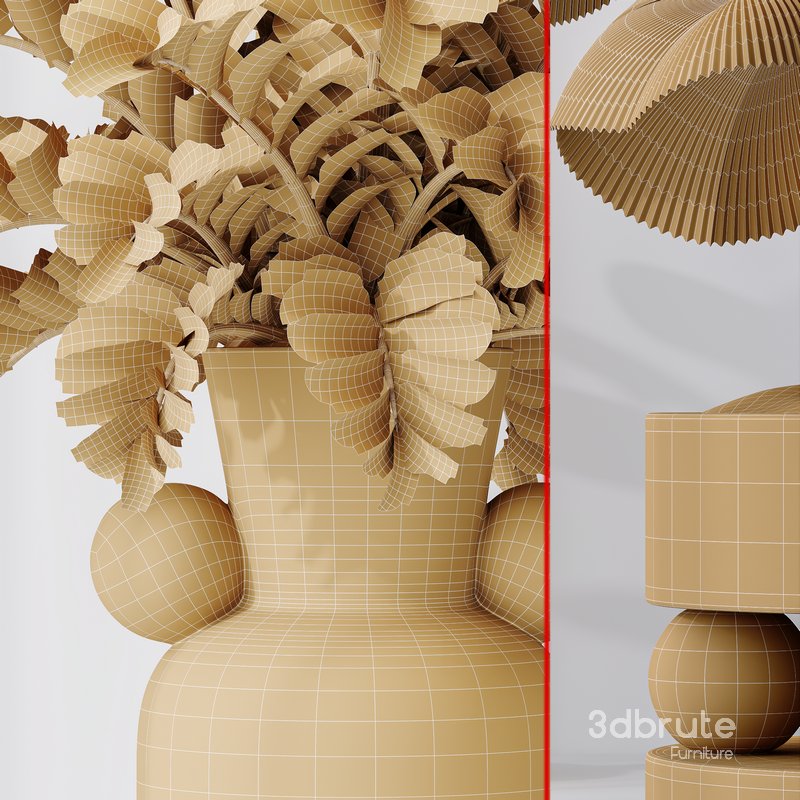 Licuala Grandis Ruffled and Zamioculcas Zamiifolia Image 6