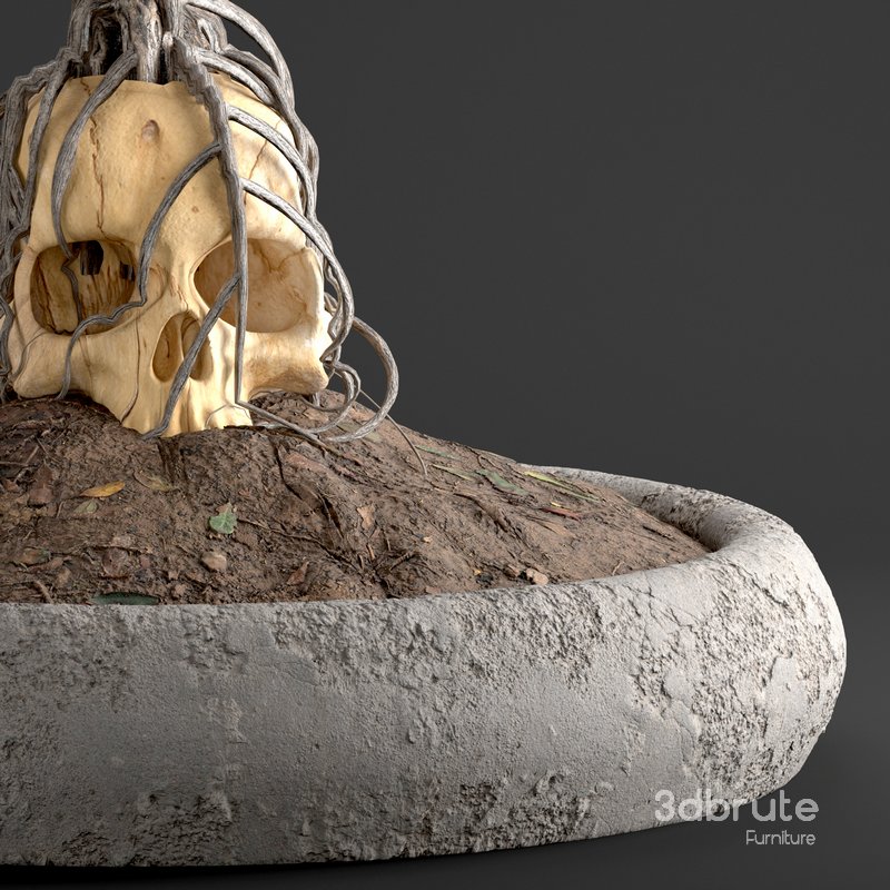 bonsai on skull in pot 09 Image 6