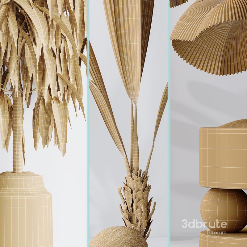 Indoor plant set 01 Image 7