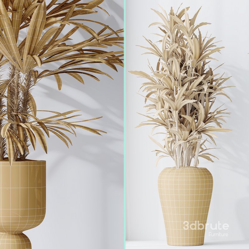 Dracaena Warneckii Lemon and Rhapis Excelsa vases Image 6