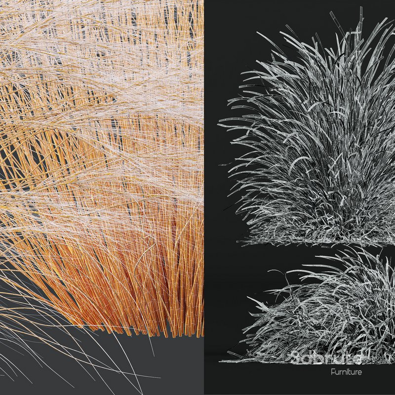 Anemanthele lessoniana and Ostnica Mocna Pony Tails Image 7