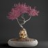 bonsai on skull in pot 09 - Thumbnail 1
