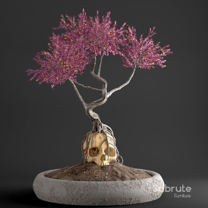 bonsai on skull in pot 09 Image 1