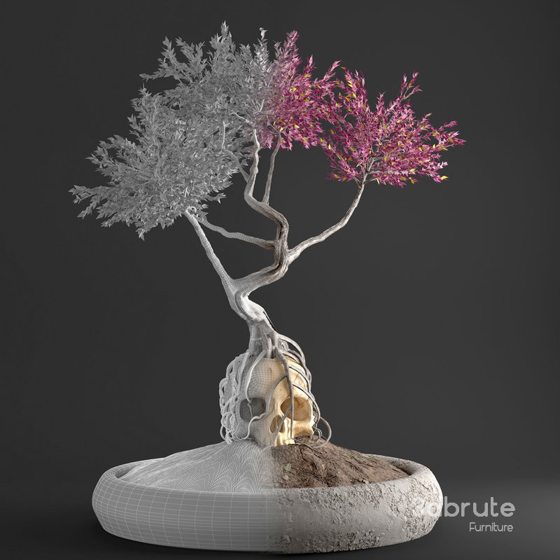 bonsai on skull in pot 09 Image 2