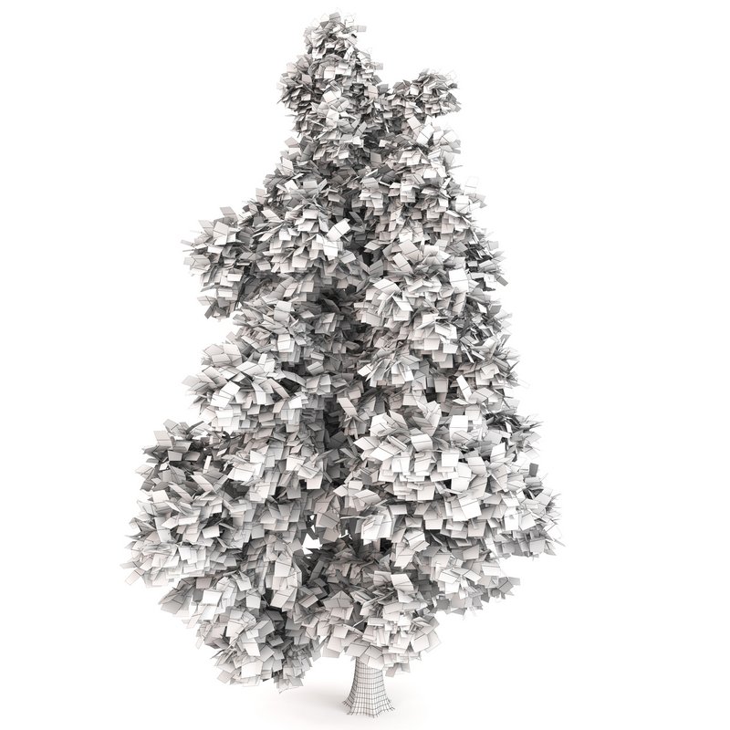 Tree Alaska 10 Image 2