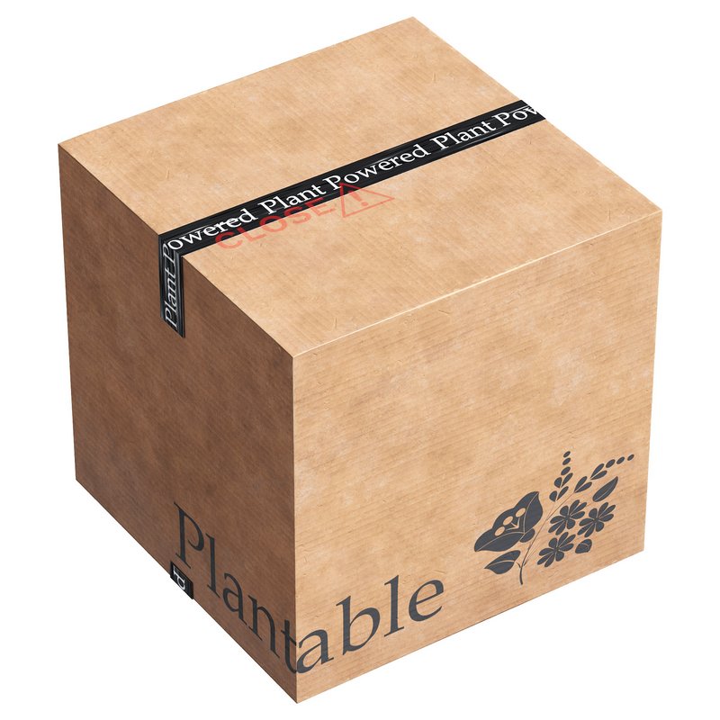 Cardboard box Image 2