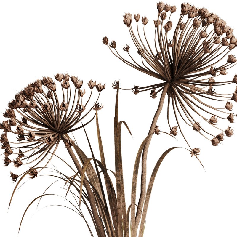 Dry Flower Bouquet33 Image 3