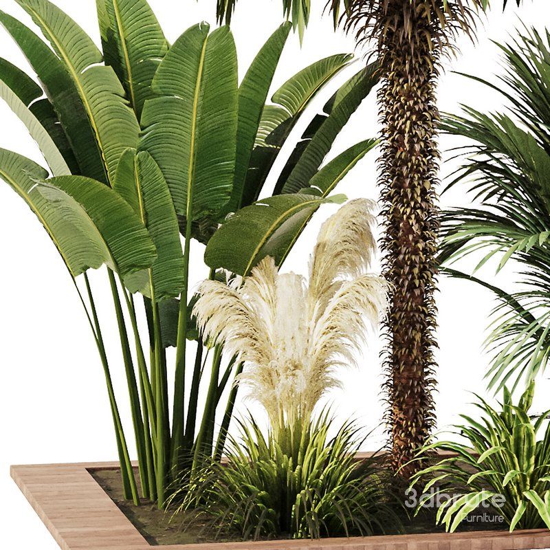 Outdoor Plant set5 Image 2