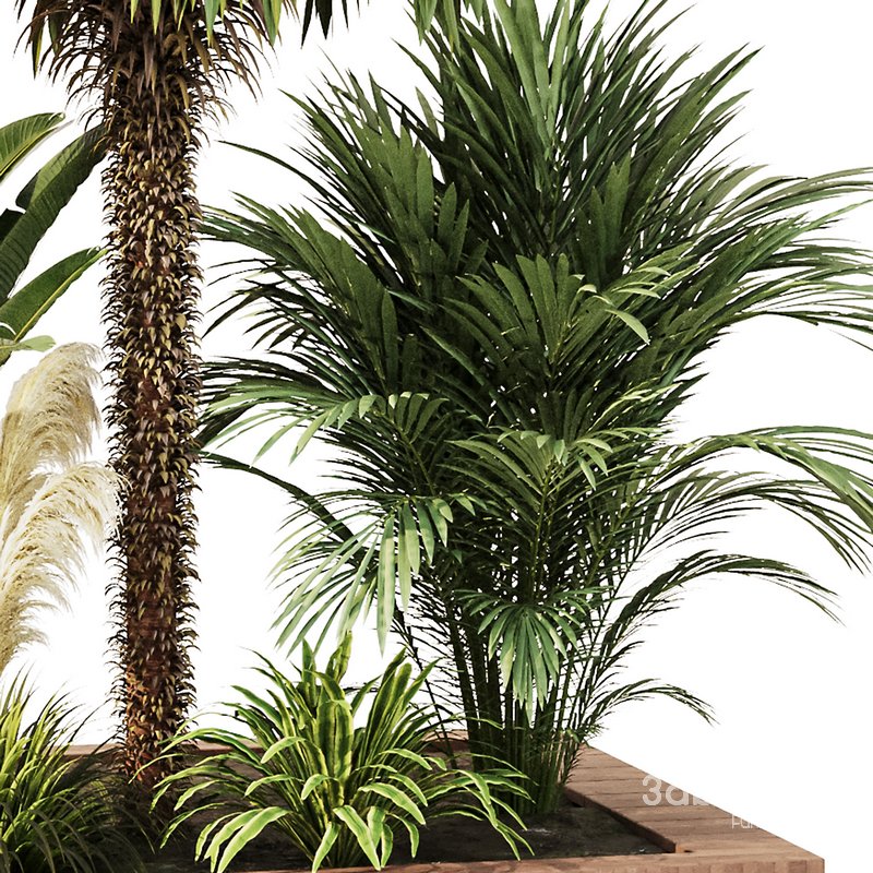 Outdoor Plant set5 Image 5