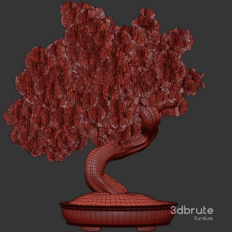 Bonsai Tree set5 Image 3