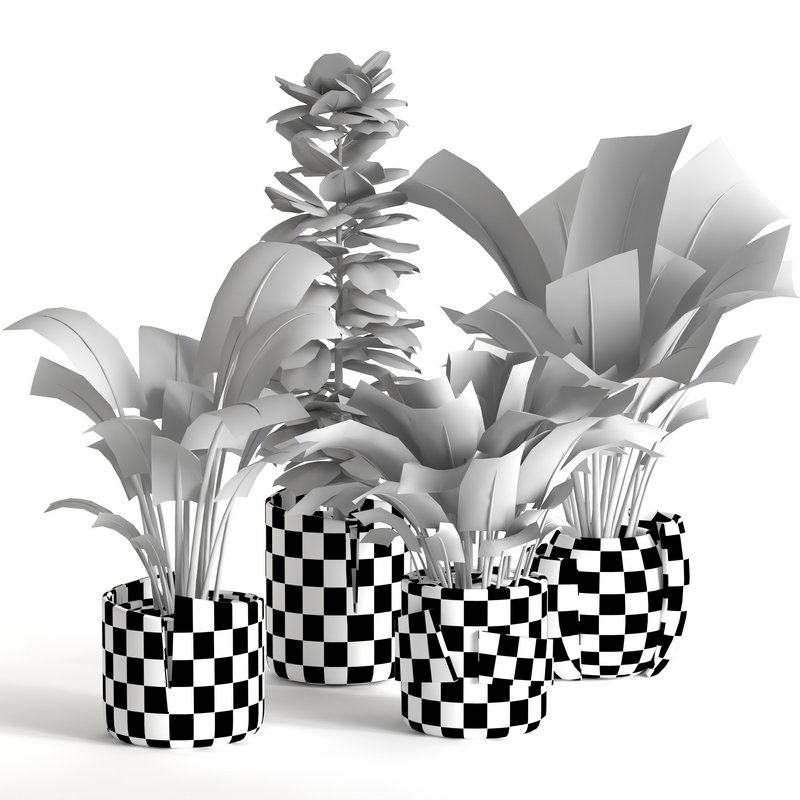 plant collection-set1 Image 4