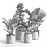 plant collection-set1 - Thumbnail 5