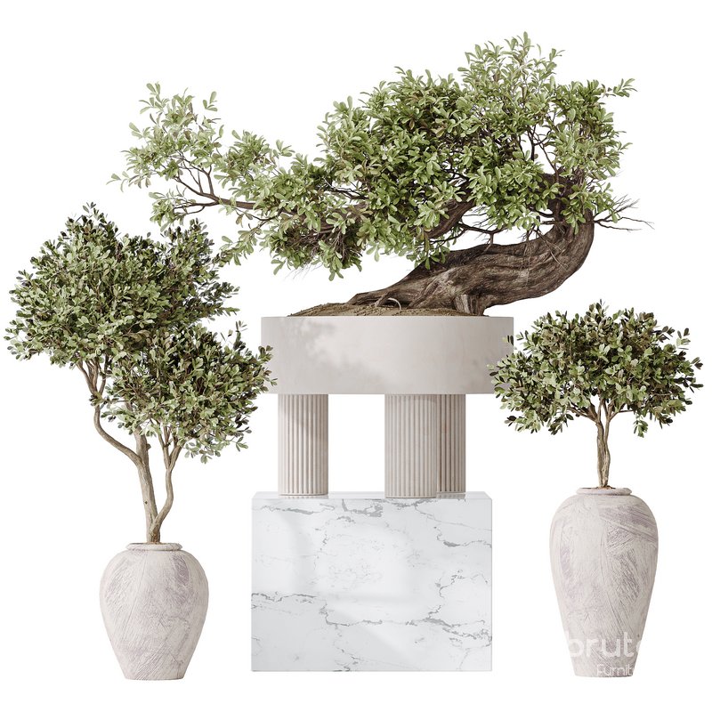 Indoor plant set 17 Image 1