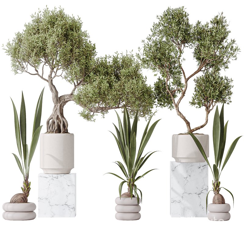 Indoor plant set 20 Image 1