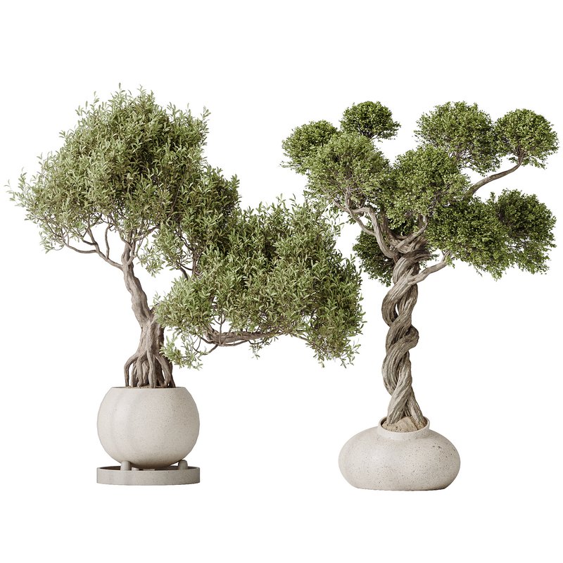 indoor plant set 13 Image 1