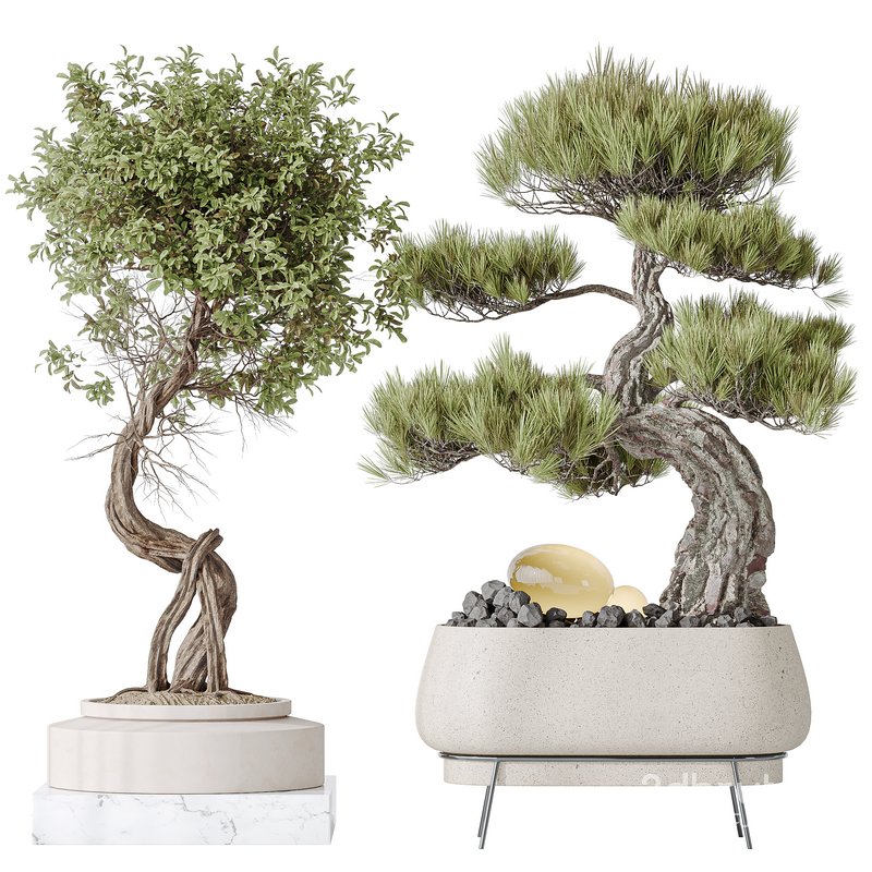 Indoor plant set 15 Image 1