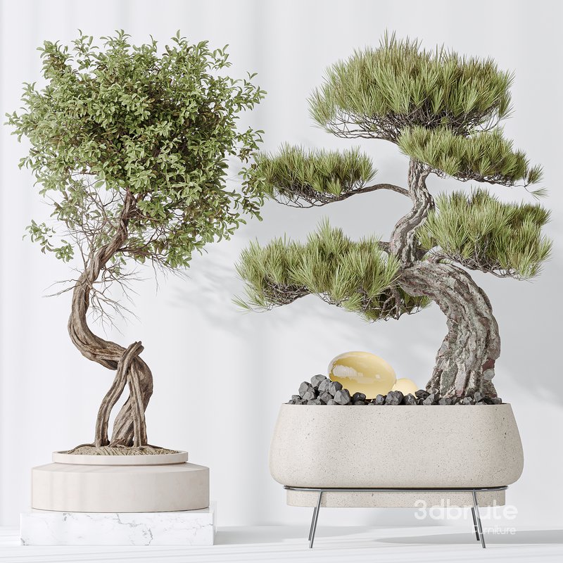 Indoor plant set 15 Image 2