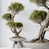 HQ HousePlants Bonsai Pinus Pentaphylla Thunbergii13 - Thumbnail 2