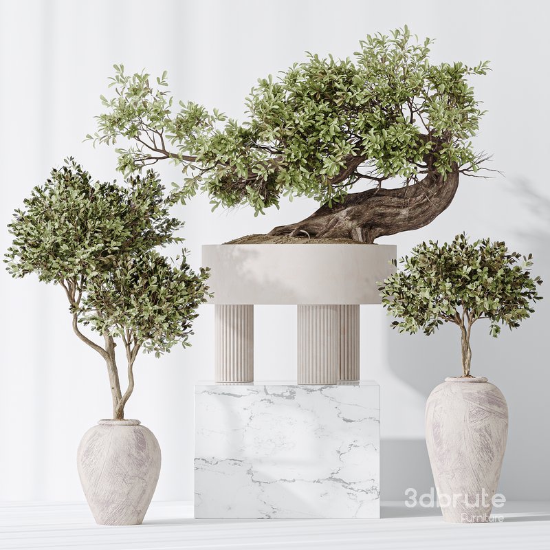 Indoor plant set 17 Image 5