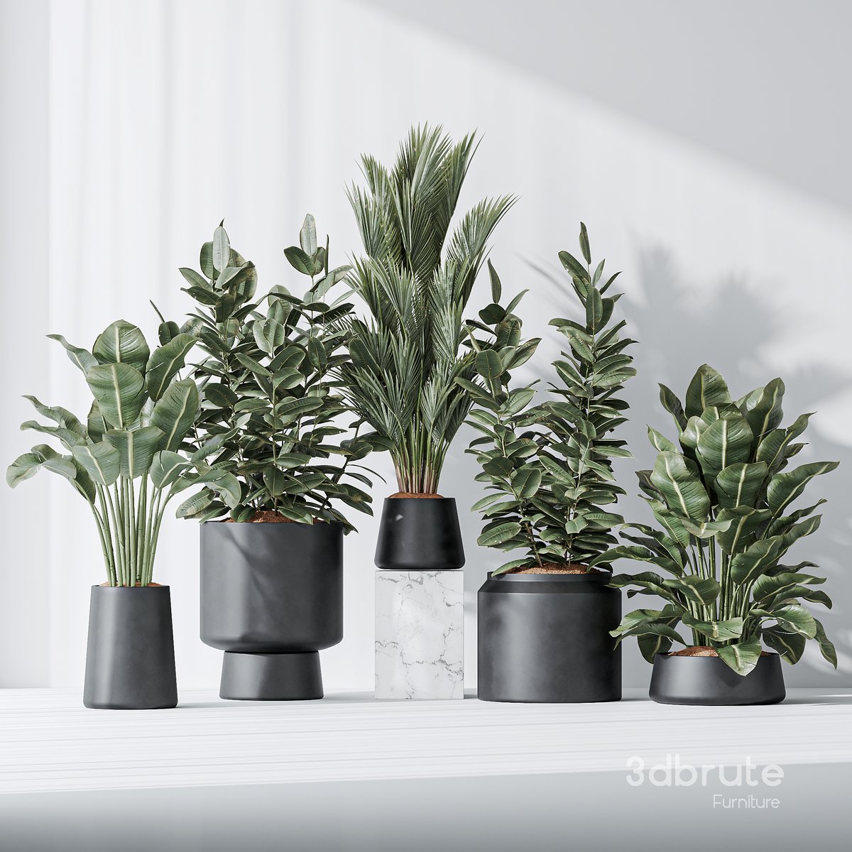 Indoor plant set 07 Image 2