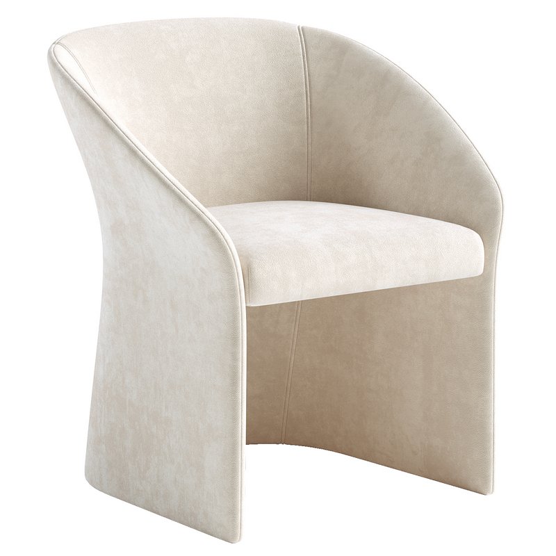 LaPorte Dining Chair 01 Image 2
