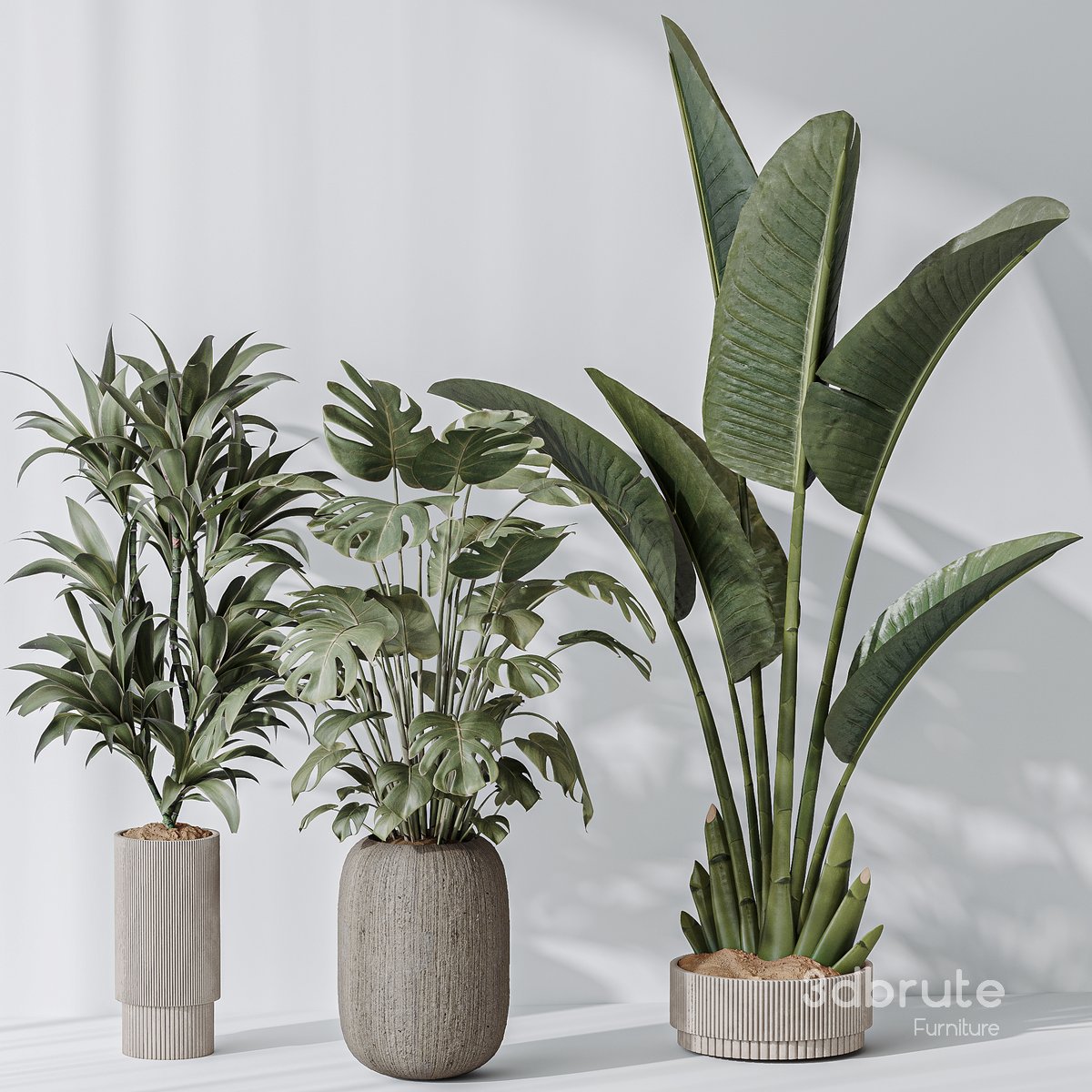 Indoor plant set 08 Image 2