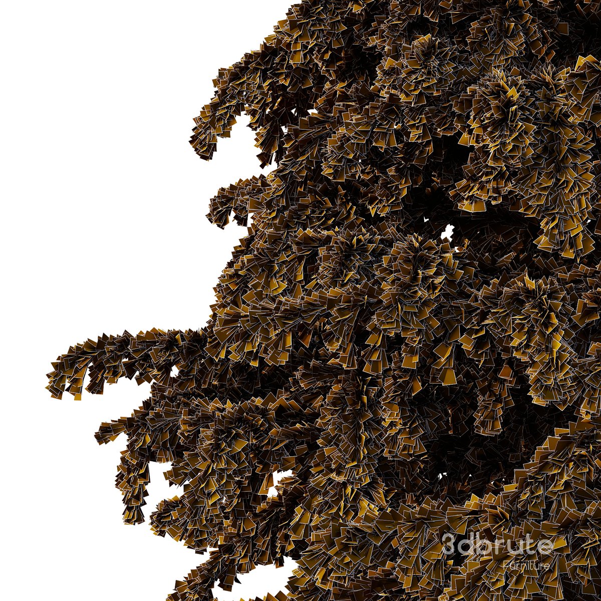 Cedrus deodara06 Image 3