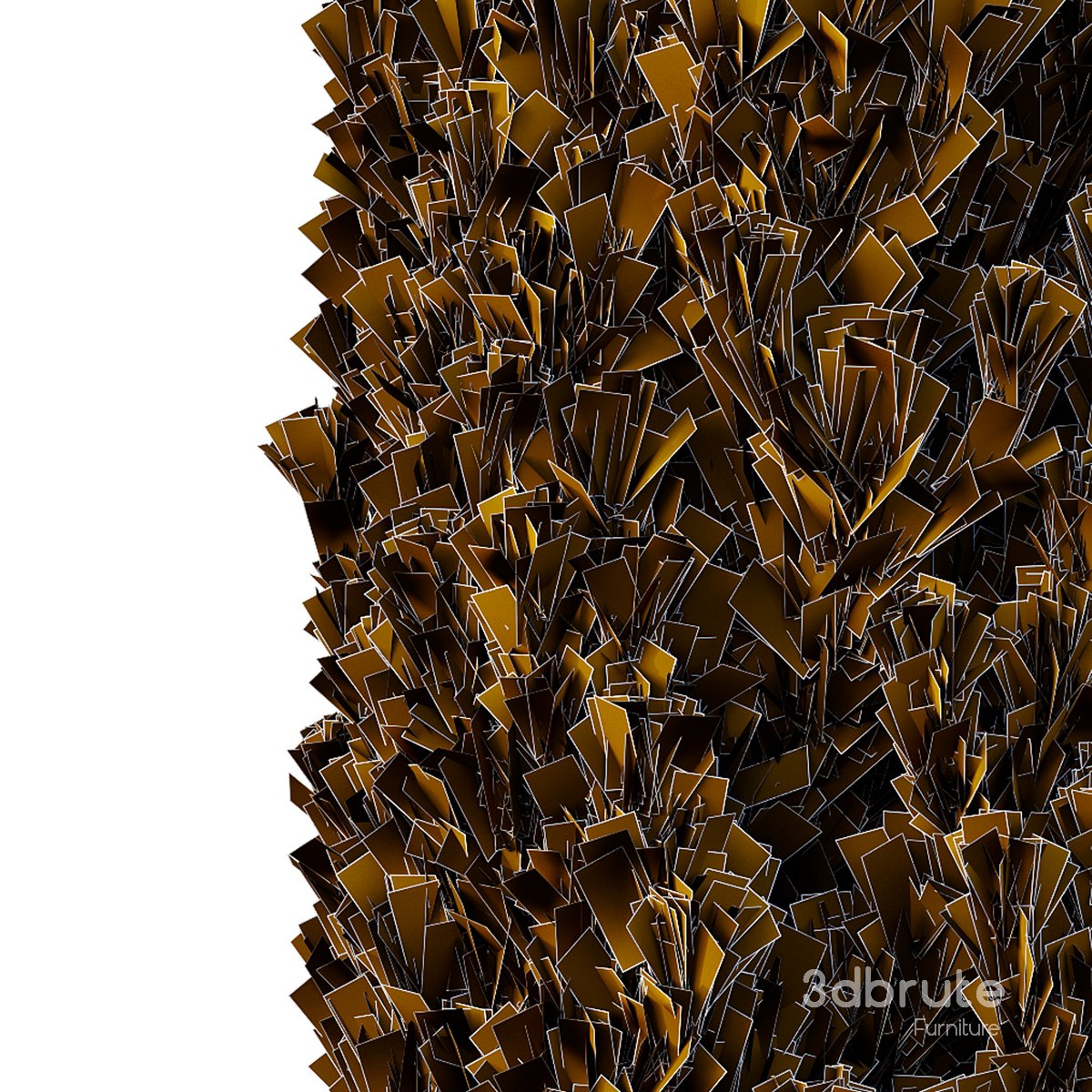 Cedrus deodara13 Image 3