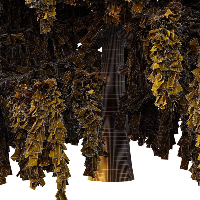 Cedrus deodara01 Image 3