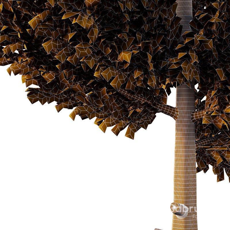 Cedar Tree01 Image 3