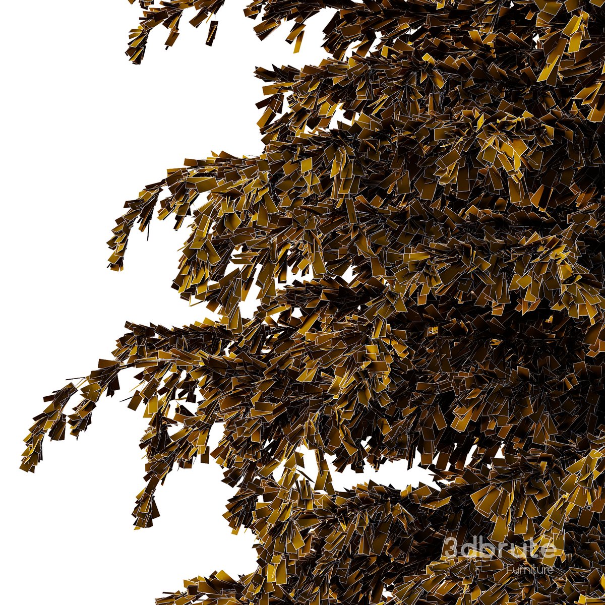 Cedrus deodara08 Image 2