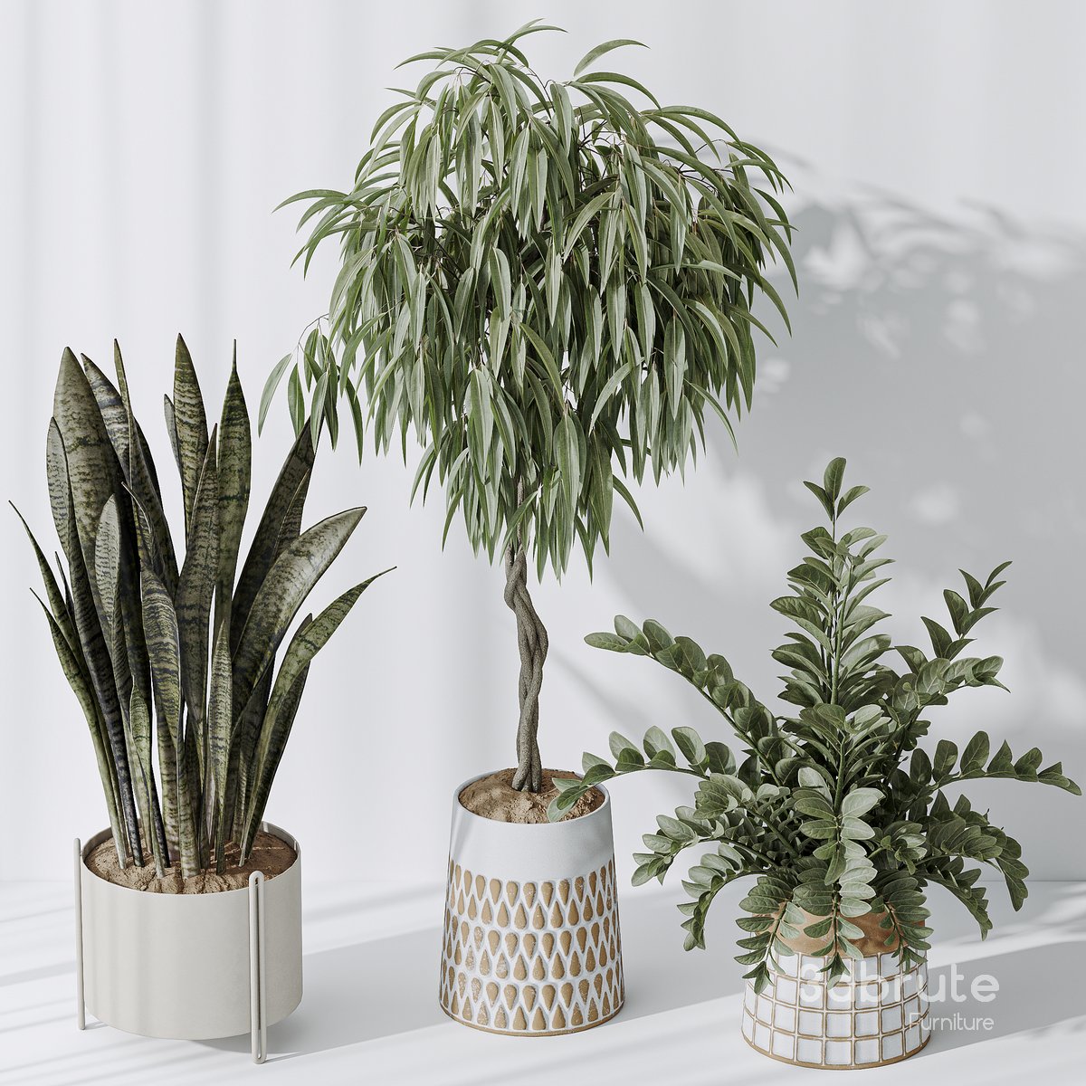 Indoor plant set 09 Image 2