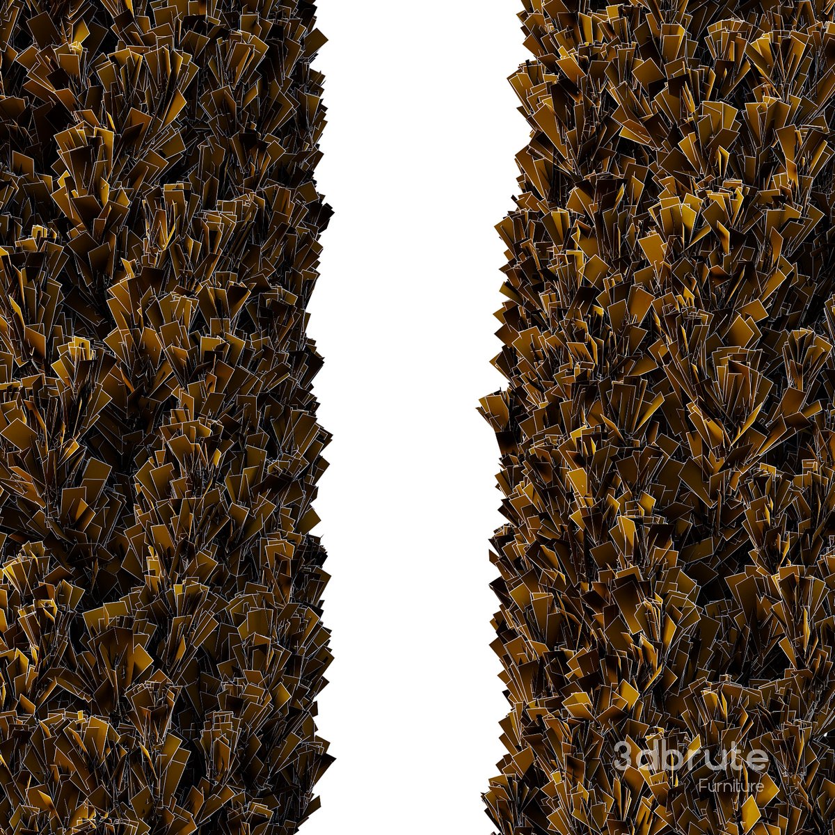 Cedrus deodara12 Image 3