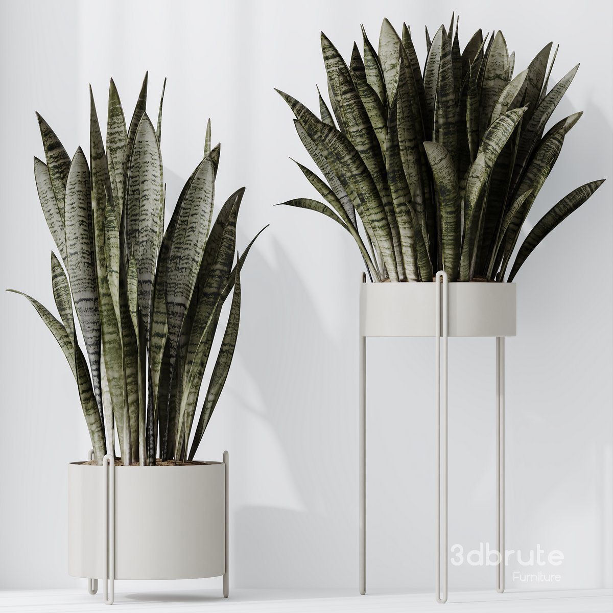 Indoor plant set 09 Image 4