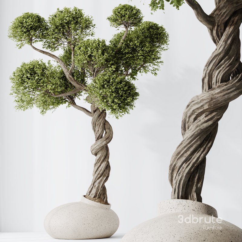 indoor plant set 13 Image 3