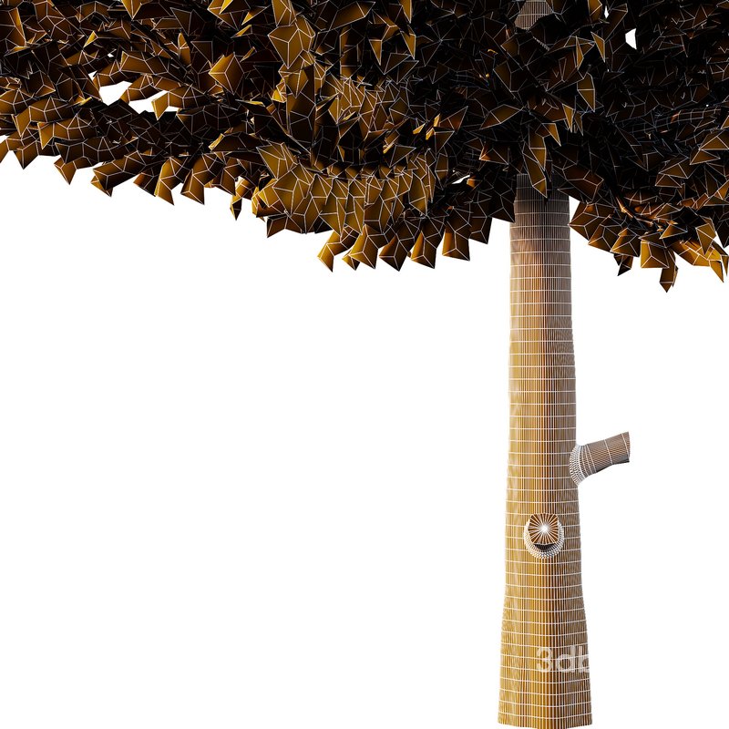 Cedar Tree02 Image 4