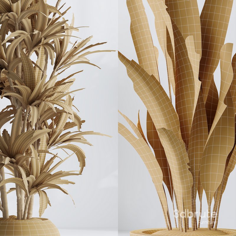 Indoor plant set 06 Image 3