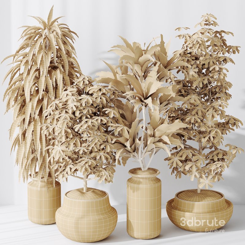 Indoor plant set 24 Image 4